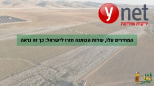 קיבוץ להב - שדות כותנה